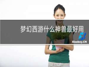 梦幻西游什么神兽最好用