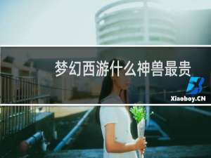 梦幻西游什么神兽最贵
