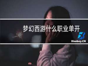 梦幻西游什么职业单开
