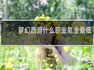 梦幻西游什么职业氪金最低