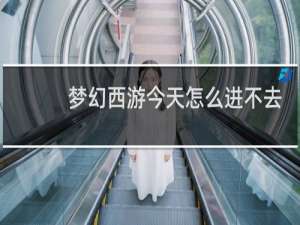 梦幻西游今天怎么进不去