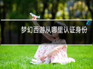 梦幻西游从哪里认证身份