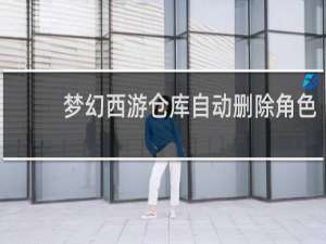 梦幻西游仓库自动删除角色