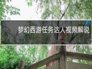 梦幻西游任务达人视频解说