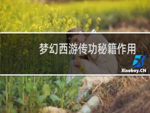 梦幻西游传功秘籍作用