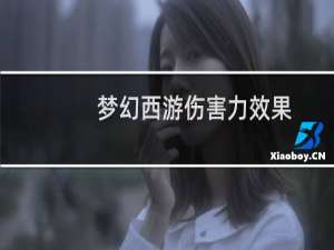 梦幻西游伤害力效果