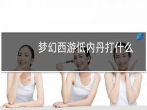 梦幻西游低内丹打什么