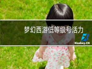 梦幻西游低等级号活力