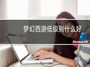梦幻西游低级别什么好