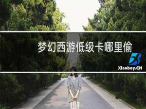 梦幻西游低级卡哪里偷