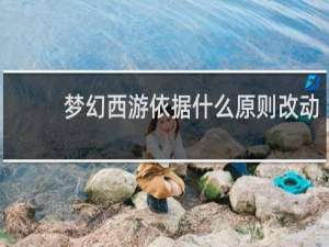 梦幻西游依据什么原则改动