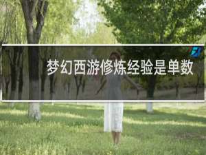 梦幻西游修炼经验是单数