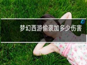 梦幻西游偷袭加多少伤害