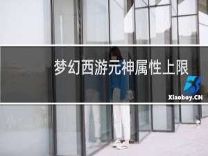 梦幻西游元神属性上限