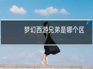 梦幻西游兄弟是哪个区