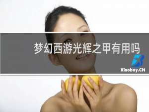 梦幻西游光辉之甲有用吗