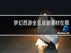 梦幻西游全息投影素材在哪