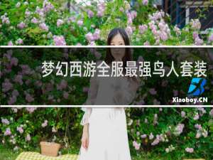 梦幻西游全服最强鸟人套装
