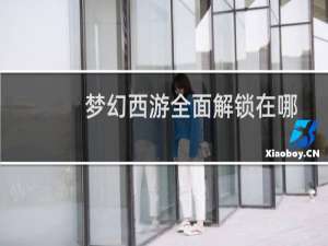 梦幻西游全面解锁在哪
