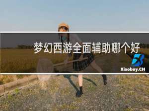 梦幻西游全面辅助哪个好