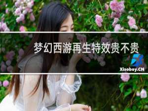 梦幻西游再生特效贵不贵