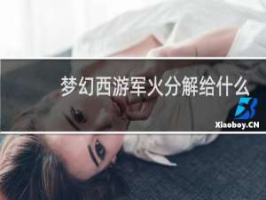 梦幻西游军火分解给什么