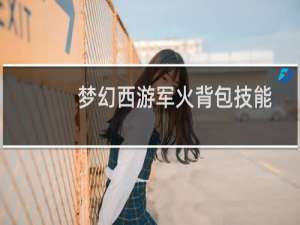 梦幻西游军火背包技能