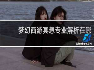 梦幻西游冥想专业解析在哪