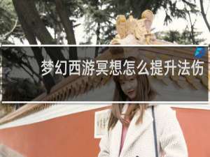 梦幻西游冥想怎么提升法伤
