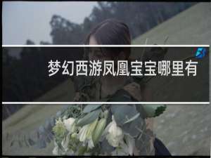 梦幻西游凤凰宝宝哪里有