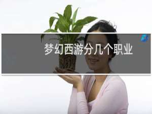 梦幻西游分几个职业