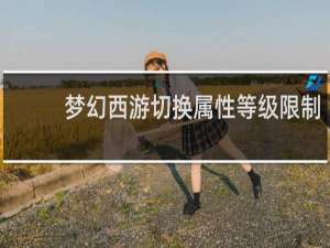 梦幻西游切换属性等级限制