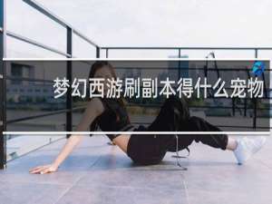 梦幻西游刷副本得什么宠物