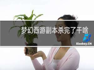 梦幻西游副本杀完了干啥