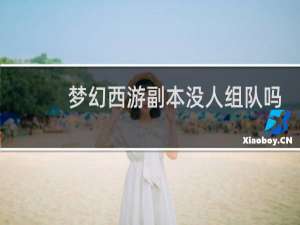 梦幻西游副本没人组队吗