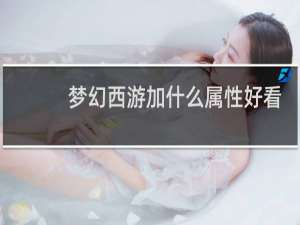 梦幻西游加什么属性好看