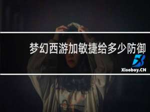 梦幻西游加敏捷给多少防御