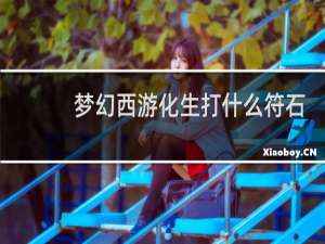 梦幻西游化生打什么符石