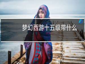 梦幻西游十五级带什么