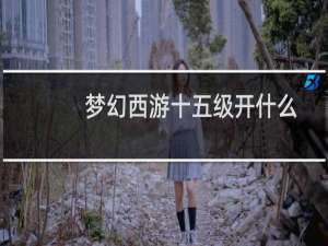 梦幻西游十五级开什么