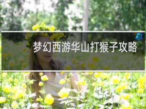 梦幻西游华山打猴子攻略
