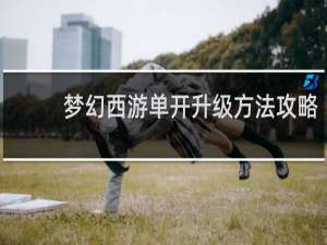 梦幻西游单开升级方法攻略