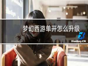 梦幻西游单开怎么升级