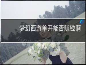 梦幻西游单开能否赚钱啊