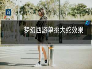 梦幻西游单挑大蛇效果
