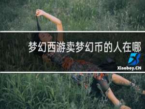 梦幻西游卖梦幻币的人在哪