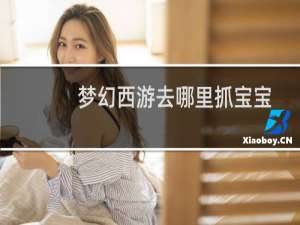 梦幻西游去哪里抓宝宝
