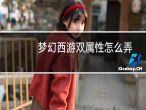 梦幻西游双属性怎么弄