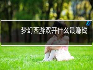 梦幻西游双开什么最赚钱