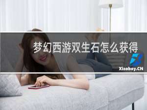 梦幻西游双生石怎么获得